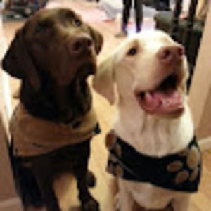 Meet your Posher, Gladys